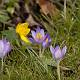  _DSC0664.jpg