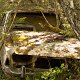  DSC_3872.jpg