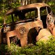 DSC_3873.jpg